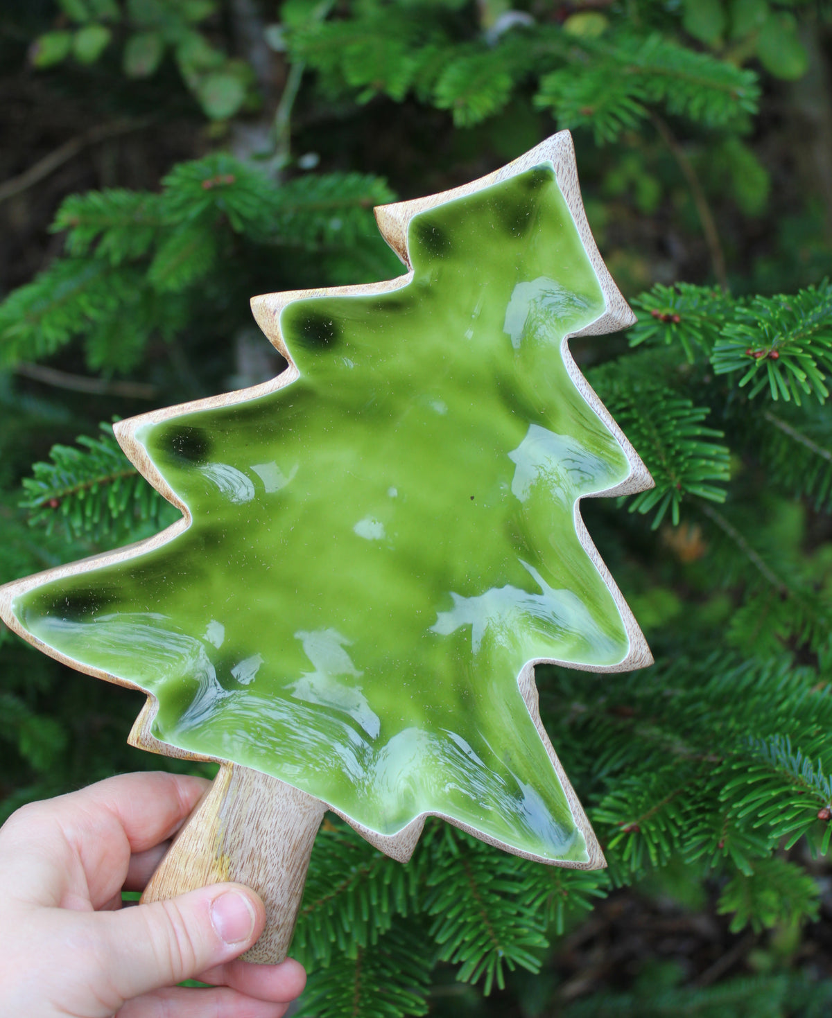 Fir Tree Wood and Enamel Dish