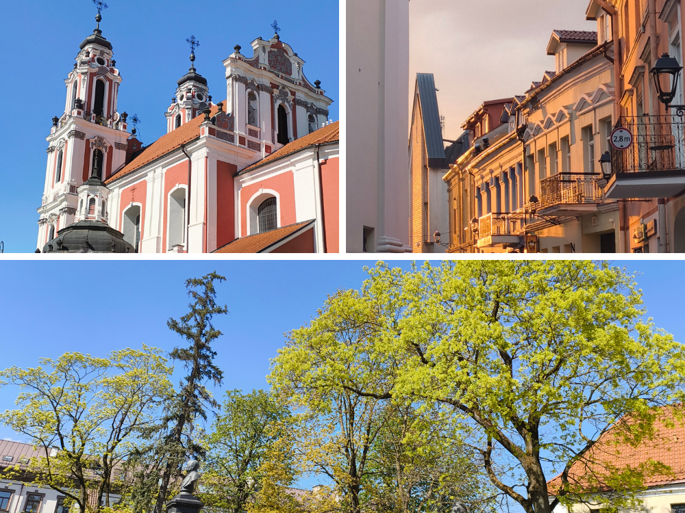 Riding the Rails: A Gentle Journey from Kaunas to Vilnius