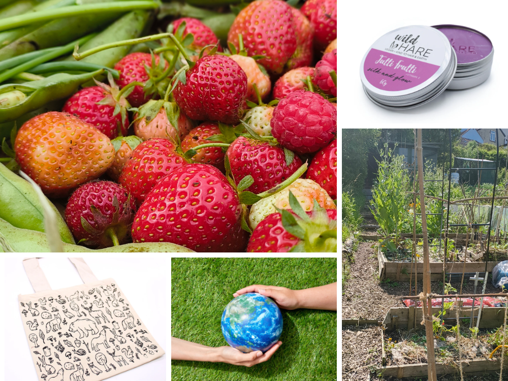 How to Choose Ethical Brands (Without the Greenwashing)