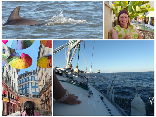 montage of dolphin boat woman and umbrellas