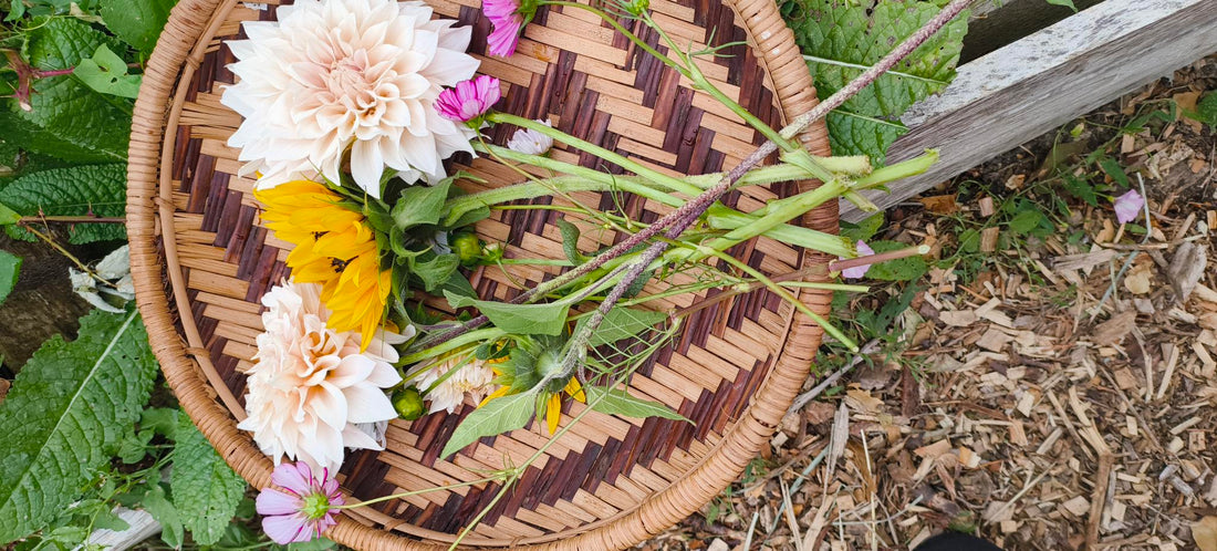 A Slow‑Living Approach to Mindful Spring Cleaning