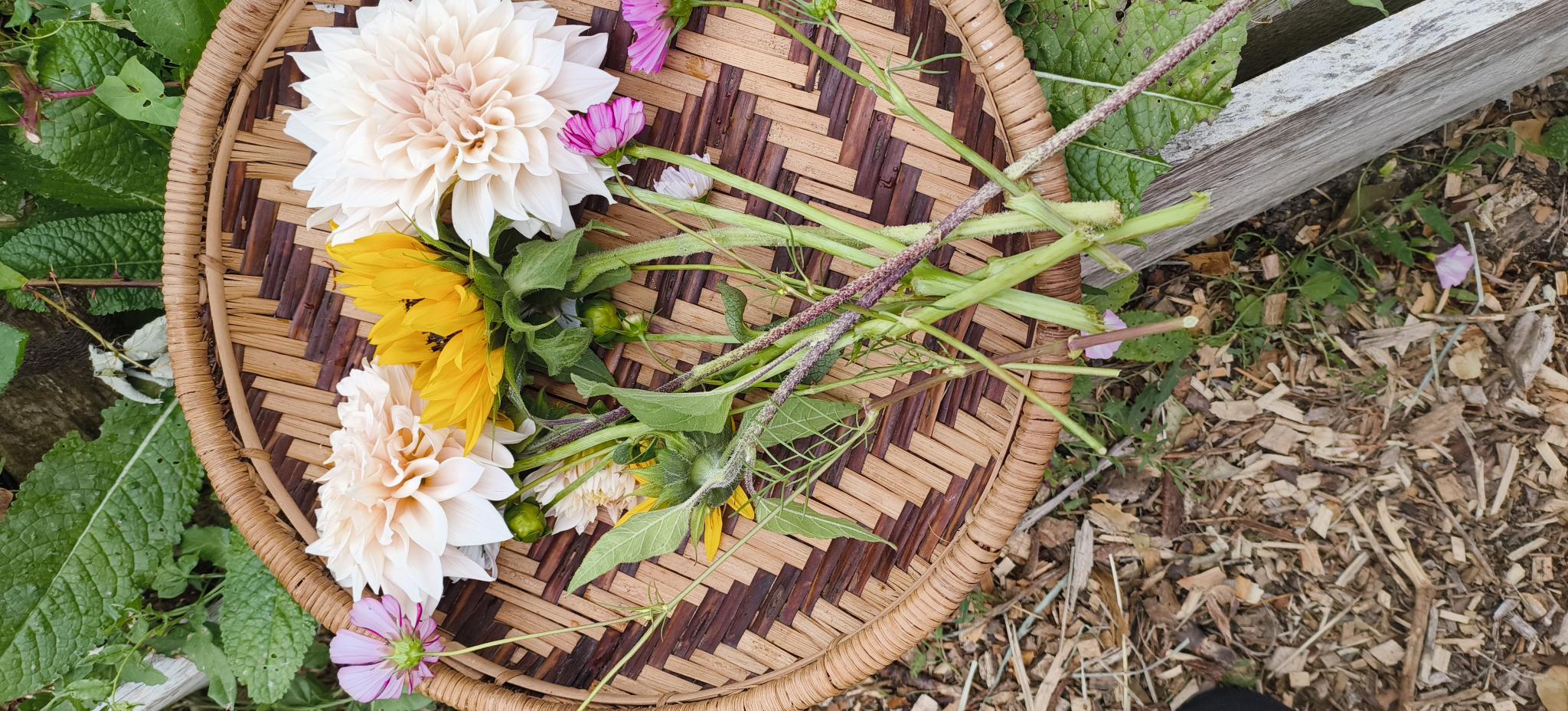 A Slow‑Living Approach to Mindful Spring Cleaning