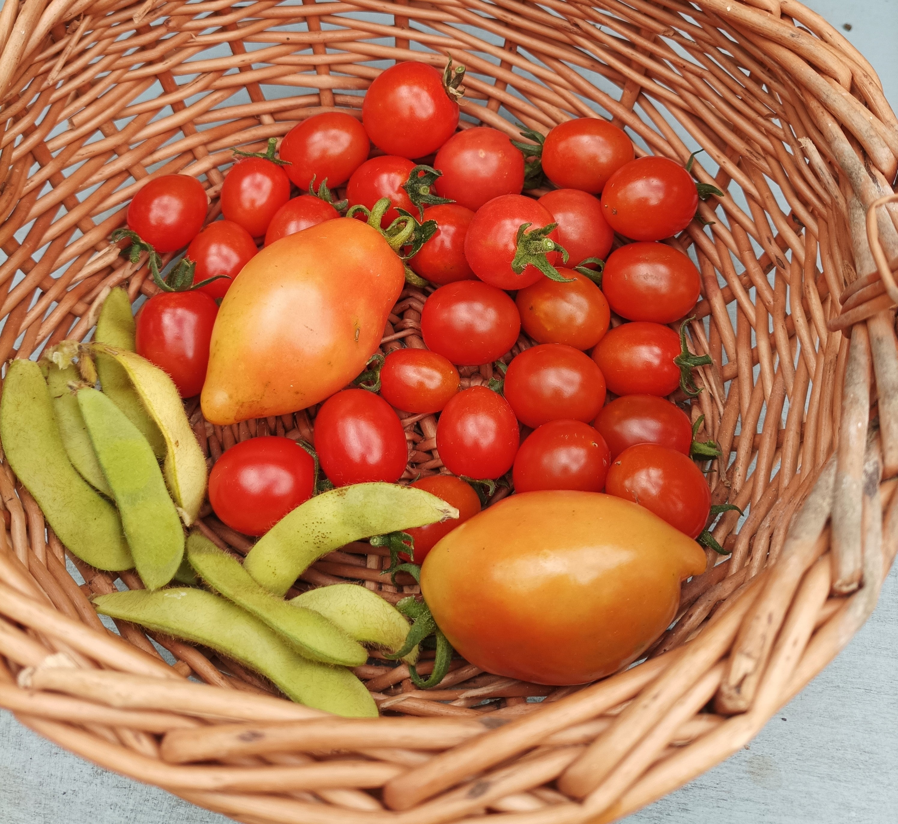 Eco-Friendly Slow Living Home Products