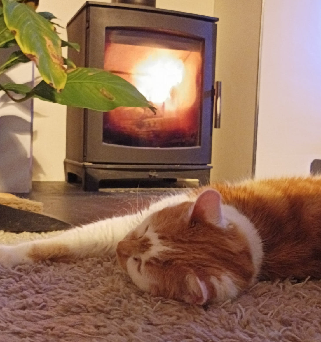 Slow Living Winter Self-Care Rituals for Restful Evenings