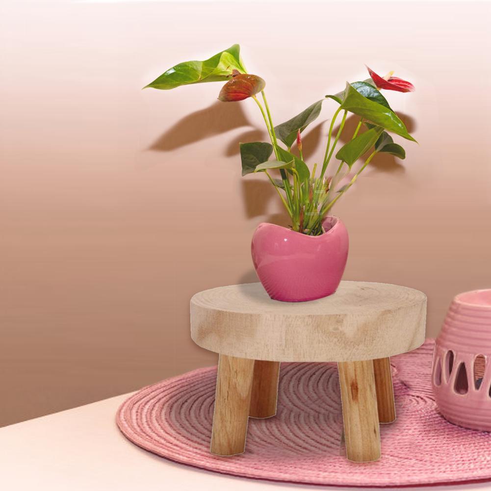 Natural Solid Wood Mini Plant Stand – Compact & Charming