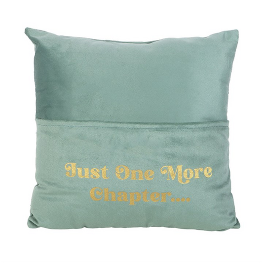Light blue pillow with 'Just One More Chapter...' text on a white background