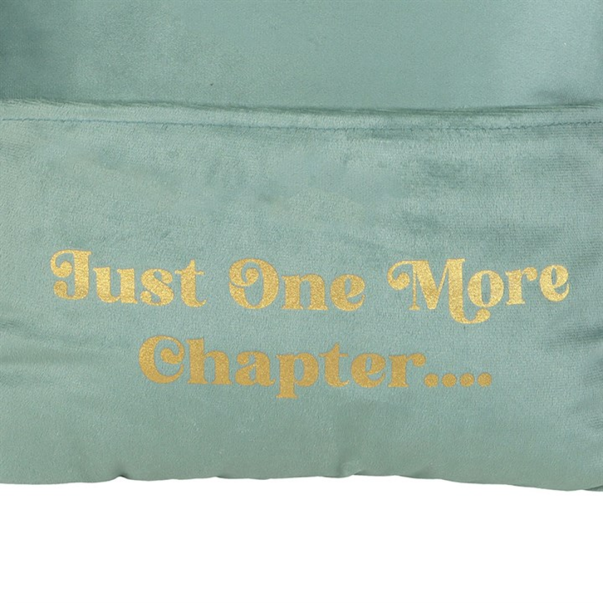 'Just One More Chapter' Cushion with Book Pocket