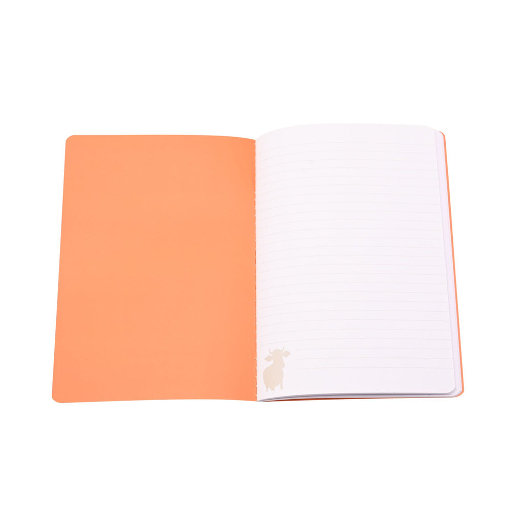 The Funny Farm Set of 3 A5 Notebooks