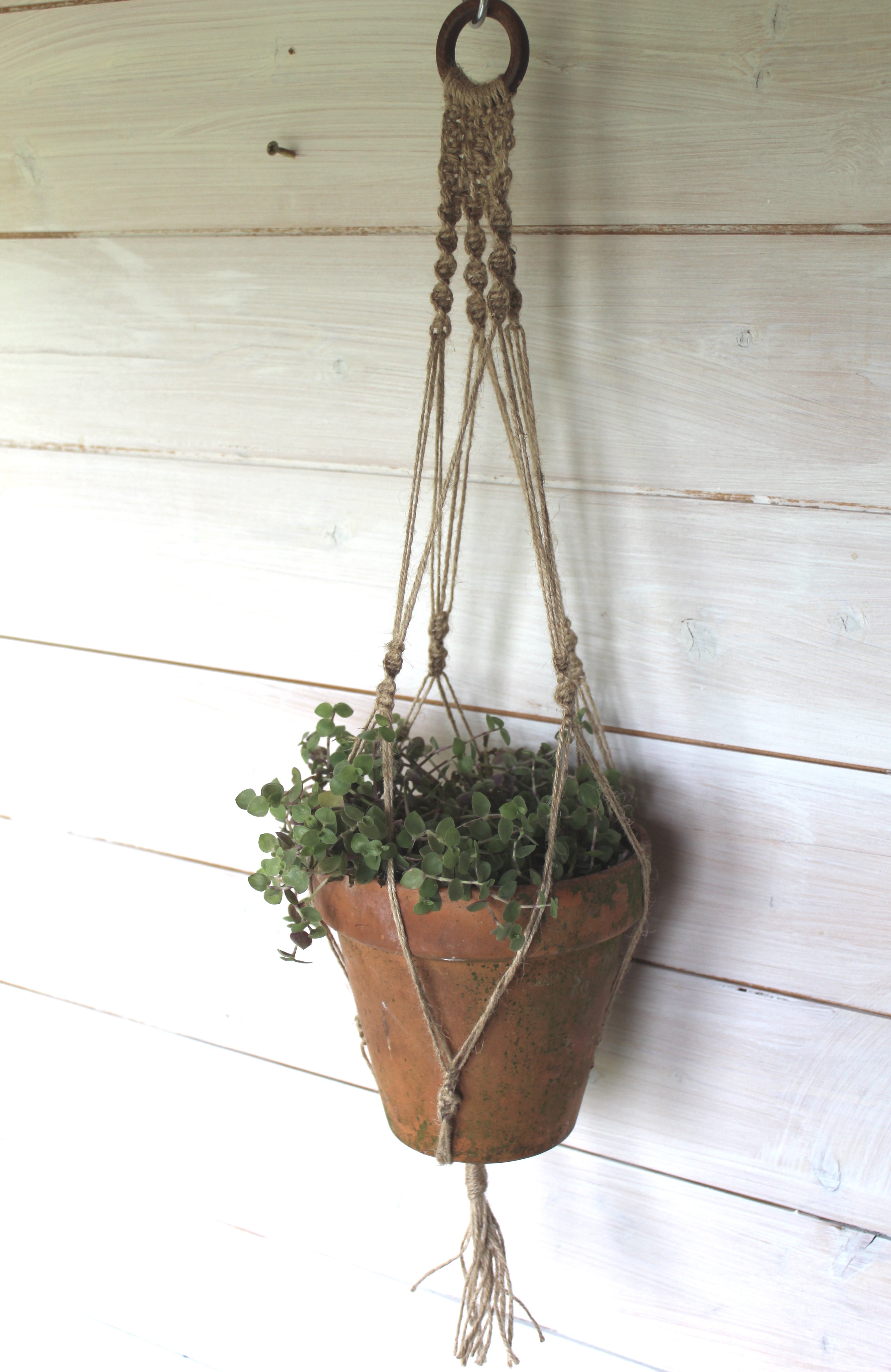 Woven Whimsy Macramé Pot Hanger