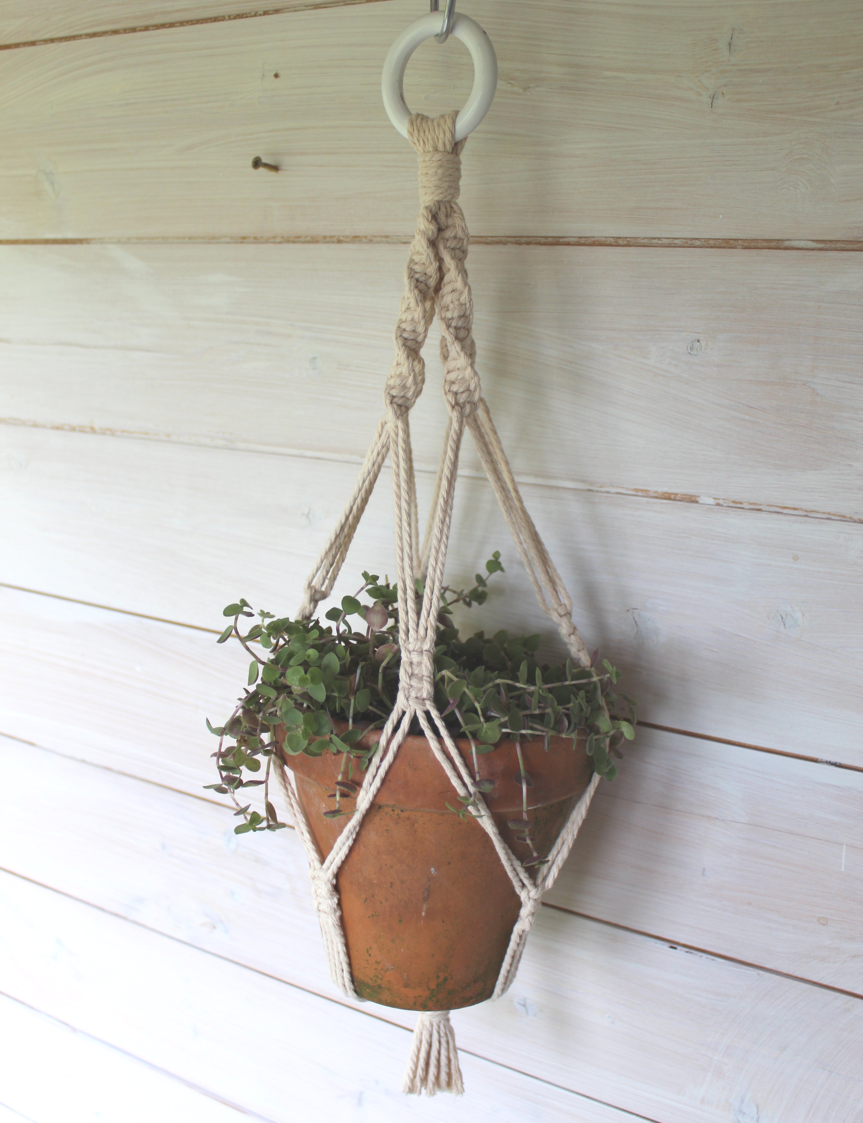 Woven Whimsy Macramé Pot Hanger