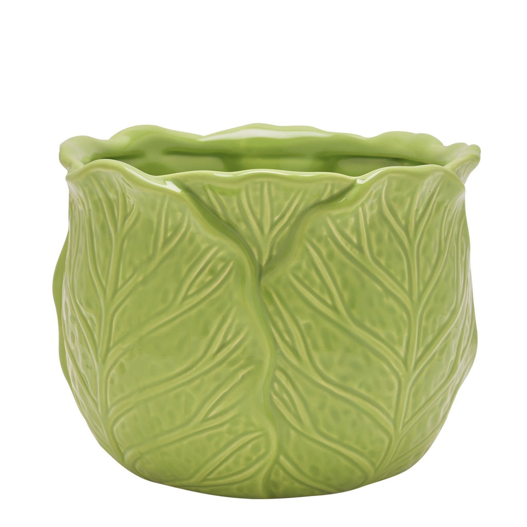 Cabbage Garden Planter
