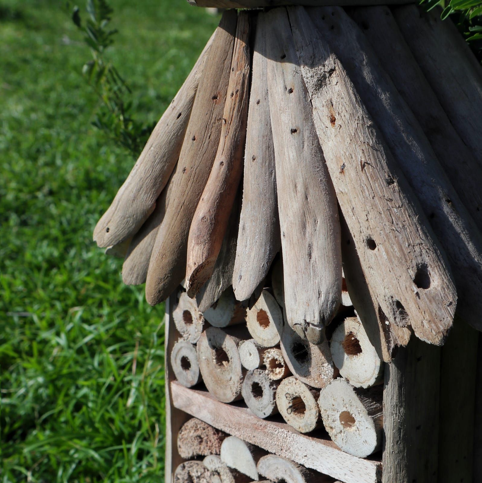 Driftwood Bee & Insect Highrise Hotel