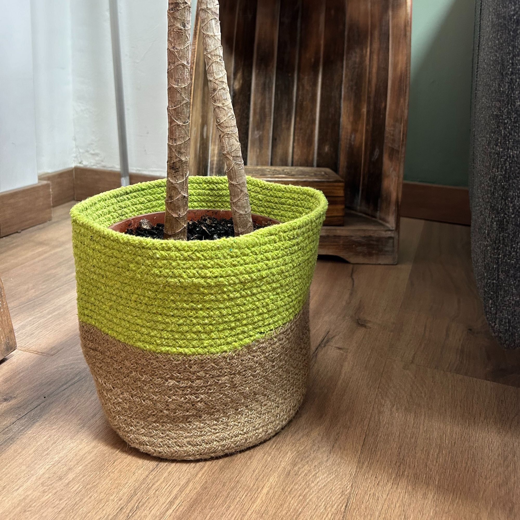 Pistachio Cotton & Jute Rope Storage Baskets - Set of 3
