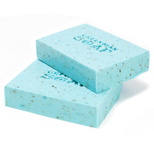 Two blocks of light blue soap with specks on a white background