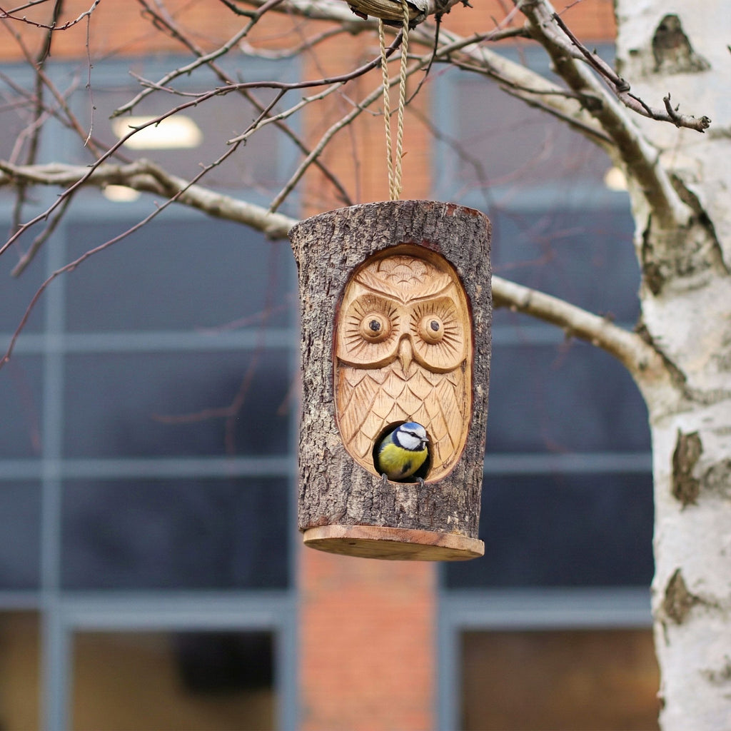 Wise Owl Woodland Bird House