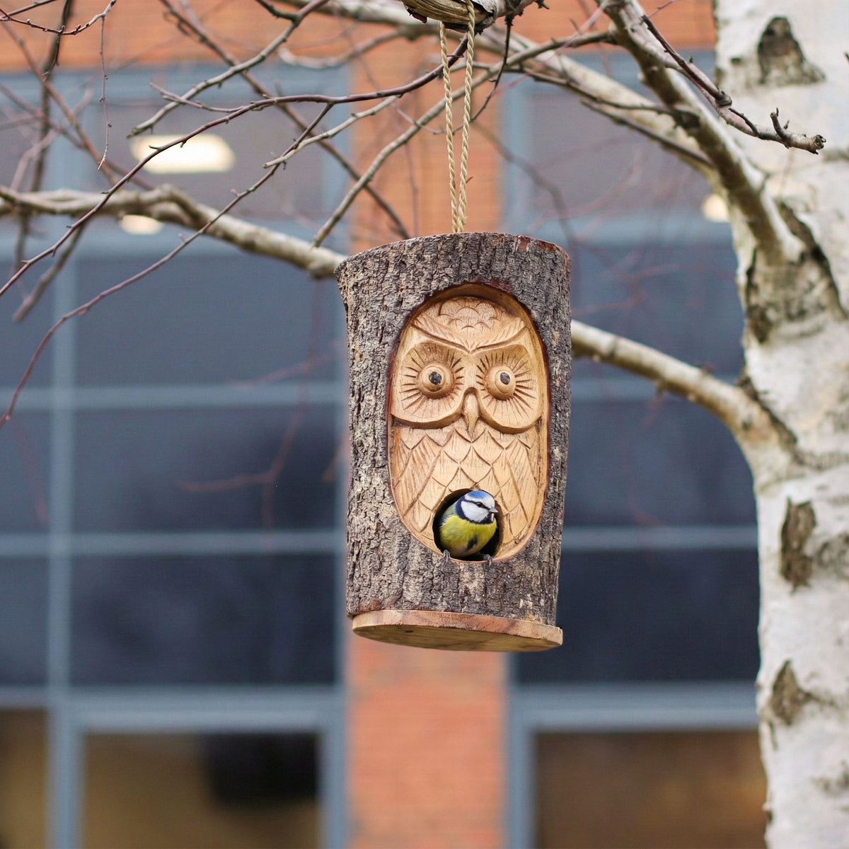 Wooden owl-shaped birdhouse hanging from a tree branch with a blurred building in the background.