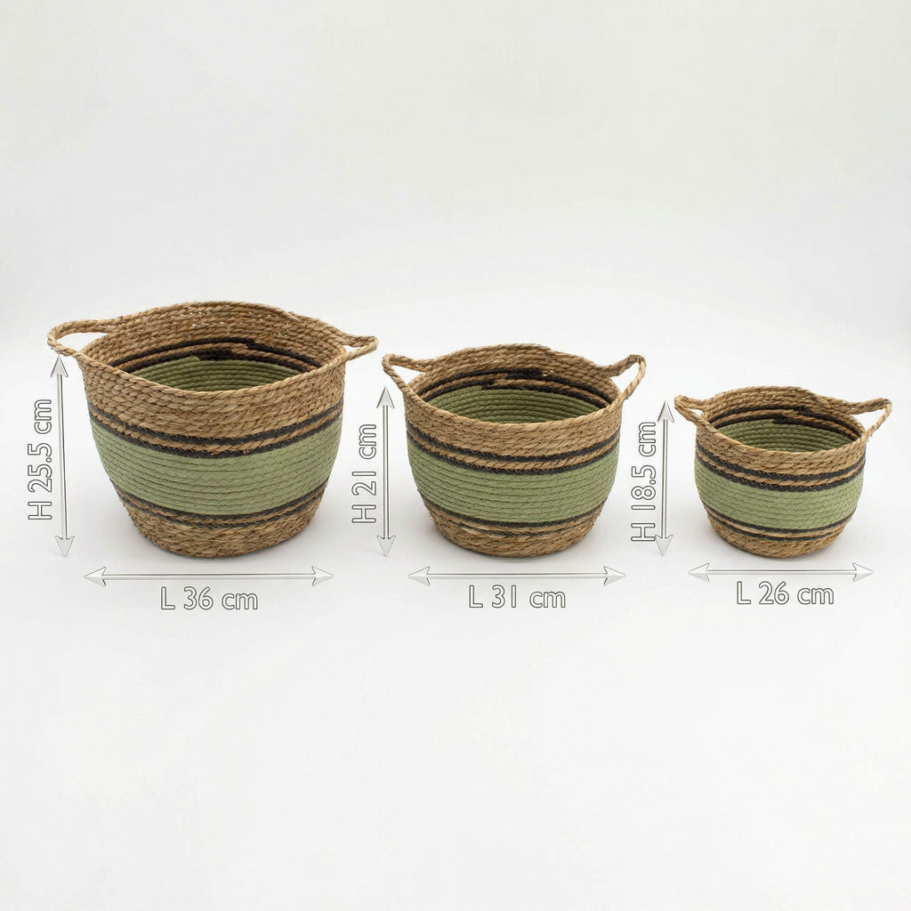 Cotton & Seagrass Large Baskets - Natural Black & Green (Set of 3)