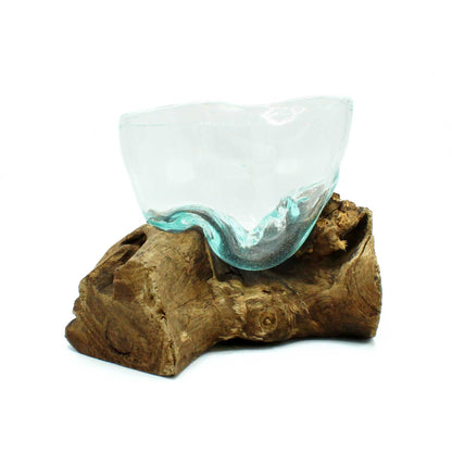 Glass bowl on a piece of driftwood against a white background