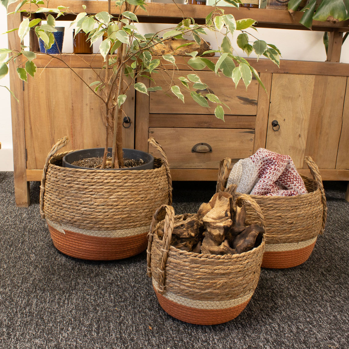 Woven seagrass storage baskets with plants and knitted items on a carpeted floor.