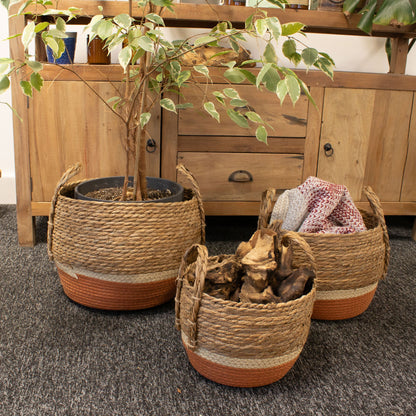 Woven seagrass storage baskets with plants and knitted items on a carpeted floor.