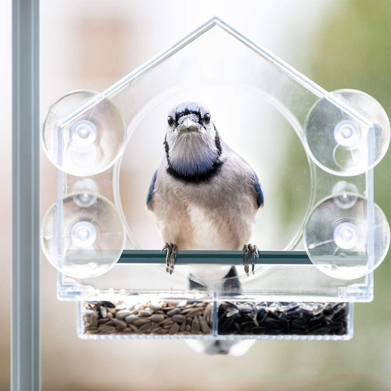 Clear View Window Bird Feeder - Watch Nature Up Close